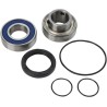 Chain Case Bearing and Seal Kit