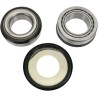 Steering Stem Bearing Kit