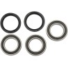 Wheel Bearing and Seal Kit
