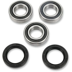 Wheel Bearing and Seal Kit