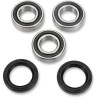Wheel Bearing and Seal Kit