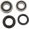 Wheel Bearing and Seal Kit