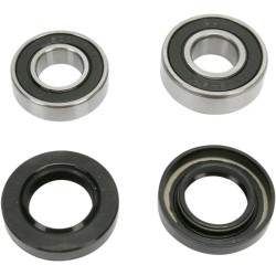 Wheel Bearing and Seal Kit