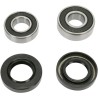 Wheel Bearing and Seal Kit