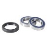 Wheel Bearing