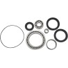 Bearing Seal Kit