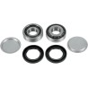 Swingarm Bearing Kit