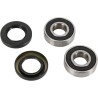Wheel Bearing and Seal Kit
