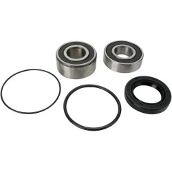 Wheel Bearing and Seal Kit