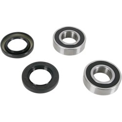 Wheel Bearing and Seal Kit