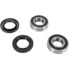 Wheel Bearing and Seal Kit
