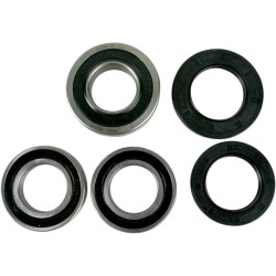 Wheel Bearing and Seal Kit