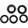 Wheel Bearing and Seal Kit