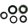 Wheel Bearing and Seal Kit