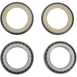 Steering Stem Tapered Roller Bearings and Seals Kit