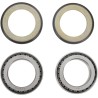 Steering Stem Tapered Roller Bearings and Seals Kit