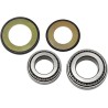 Steering Stem Tapered Roller Bearings and Seals Kit