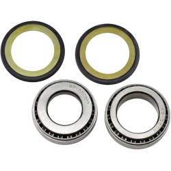 Steering Stem Tapered Roller Bearings and Seals Kit