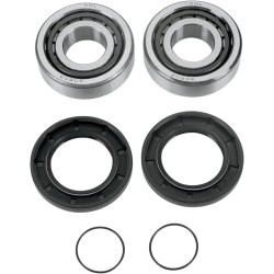 Swingarm Bearing Kit