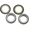 Steering Stem Tapered Roller Bearings and Seals Kit