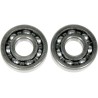 Crankshaft Bearing and Seal Kit