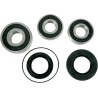 Wheel Bearing and Seal Kit