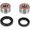 Wheel Bearing and Seal Kit