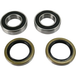 Wheel Bearing and Seal Kit