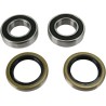 Wheel Bearing and Seal Kit