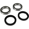 Wheel Bearing and Seal Kit