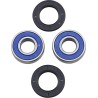 Replacement Bearings Seals for Rear Wheel Bearing Upgrade Kit
