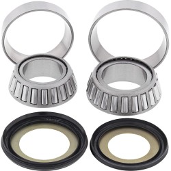 Steering Stem Bearing Kit