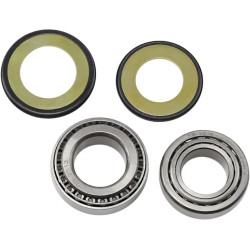 Steering Stem Tapered Roller Bearings and Seals Kit