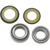 Steering Stem Tapered Roller Bearings and Seals Kit