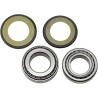 Steering Stem Tapered Roller Bearings and Seals Kit