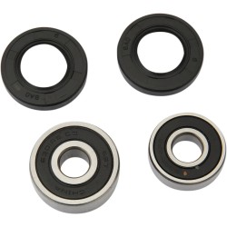 Wheel Bearing and Seal Kit