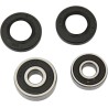 Wheel Bearing and Seal Kit