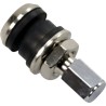 Valve pour pneu tubeless