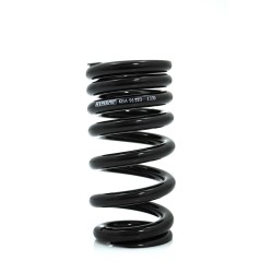 Lowering Spring Rear