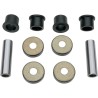 A-Arm Bearing and Seal Kit