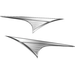 Enjoliveurs latéraux chromés