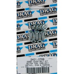 Derby Cover Bolt Kit