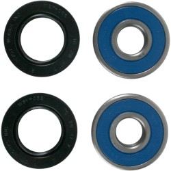 Wheel Bearing and Seal Kit