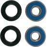 Wheel Bearing and Seal Kit