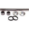 Swingarm Repair Kit