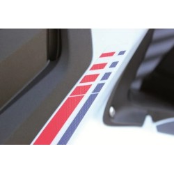 Scooter Decal Set