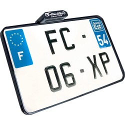 License Plate With Taillight