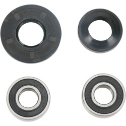 Wheel Bearing and Seal Kit