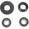 Wheel Bearing and Seal Kit