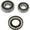 Wheel Bearing and Seal Kit